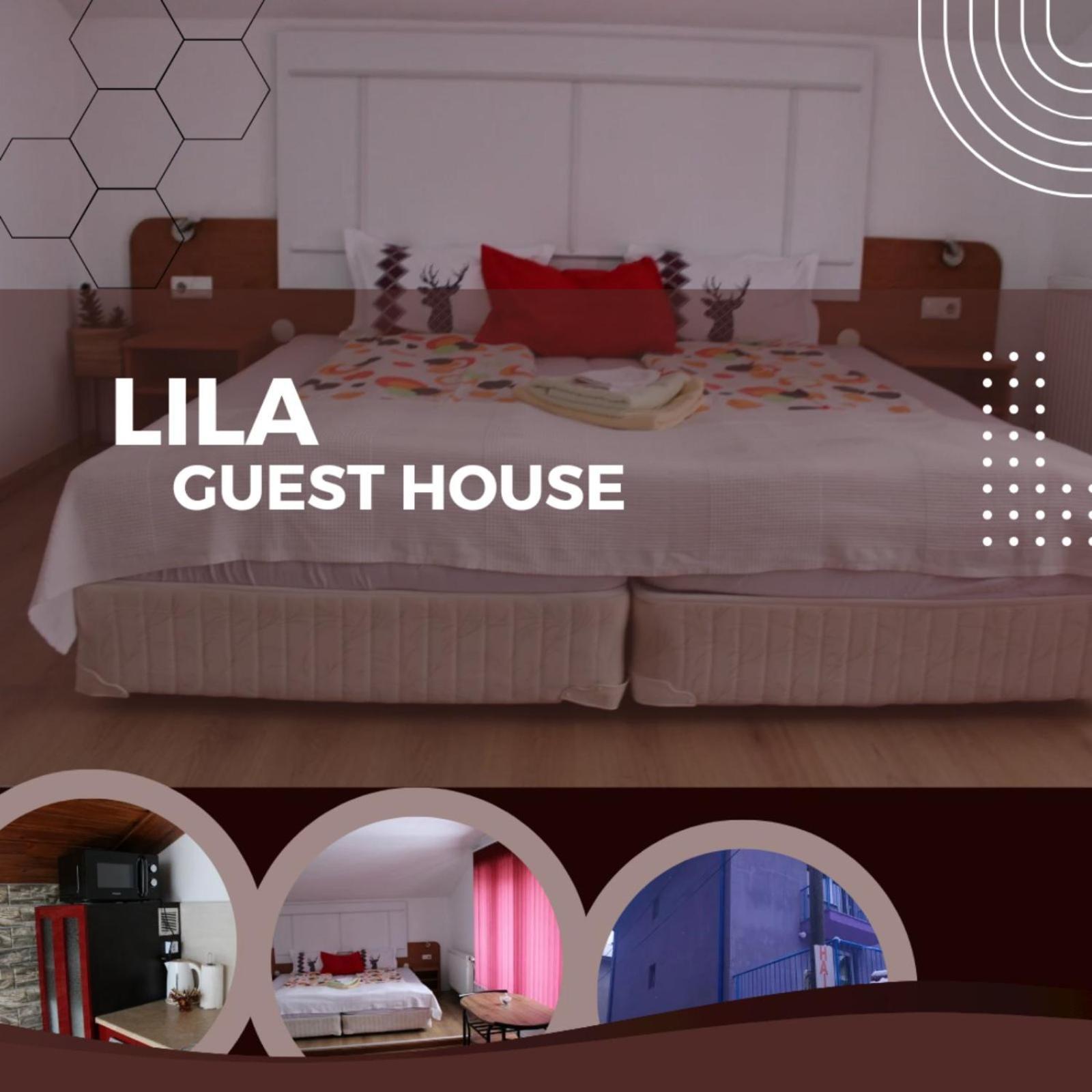 Guest House Lila 班斯科 外观 照片